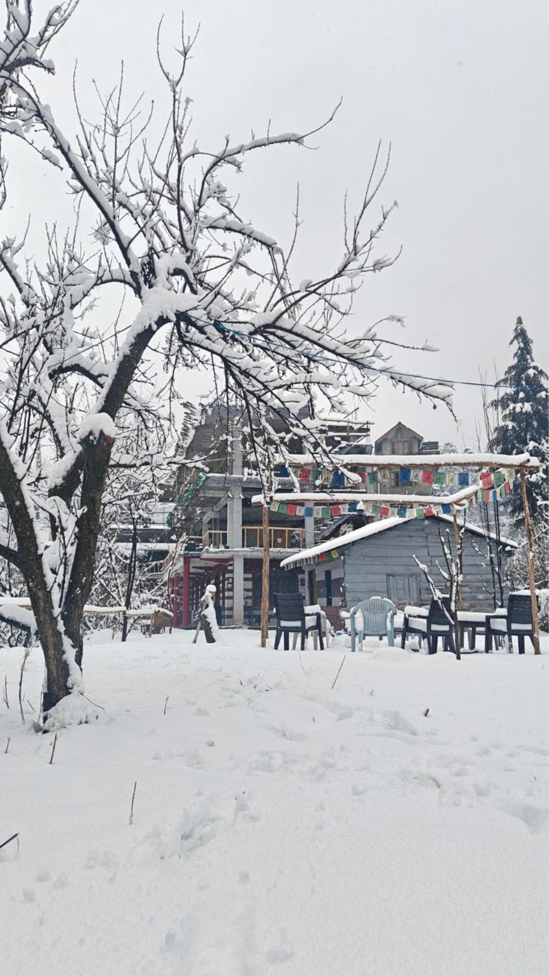 Basecamp Manali Hostel Bagian luar foto